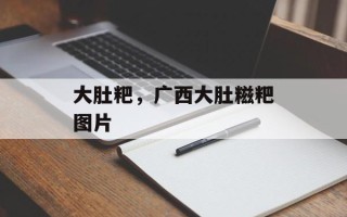 大肚粑，广西大肚糍粑图片