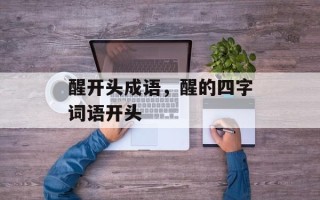 醒开头成语，醒的四字词语开头