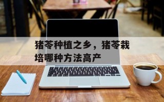 猪苓种植之乡，猪苓栽培哪种方法高产