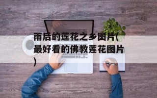 雨后的莲花之乡图片(最好看的佛教莲花图片)