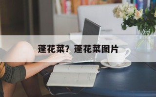 蓬花菜？蓬花菜图片