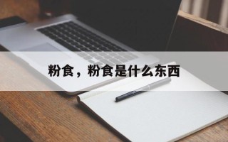 粉食，粉食是什么东西