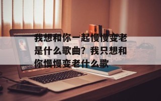 我想和你一起慢慢变老是什么歌曲？我只想和你慢慢变老什么歌