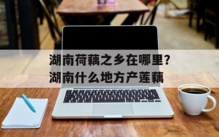 湖南荷藕之乡在哪里？湖南什么地方产莲藕