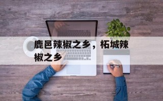 鹿邑辣椒之乡，柘城辣椒之乡