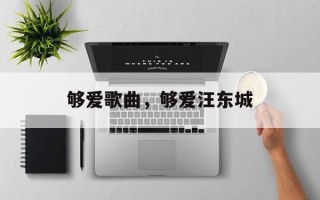 够爱歌曲，够爱汪东城