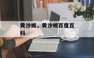 黄沙蚬，黄沙蚬百度百科