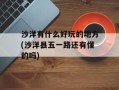 沙洋有什么好玩的地方(沙洋县五一路还有懂的吗)