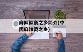 麻辣辣条之乡简介(中国麻辣烫之乡)