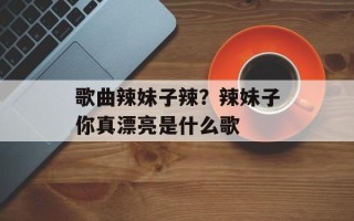 歌曲辣妹子辣？辣妹子你真漂亮是什么歌