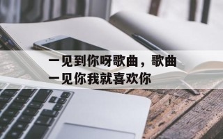 一见到你呀歌曲，歌曲一见你我就喜欢你