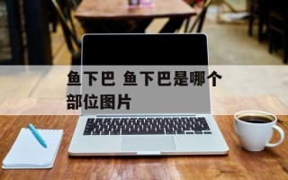鱼下巴 鱼下巴是哪个部位图片