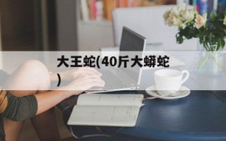 大王蛇(40斤大蟒蛇)
