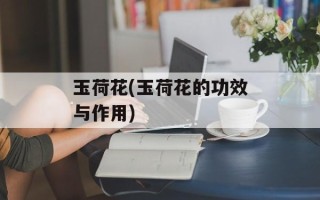 玉荷花(玉荷花的功效与作用)