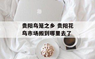 贵阳鸟笼之乡 贵阳花鸟市场搬到哪里去了
