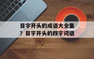 目字开头的成语大全集？目字开头的四字词语