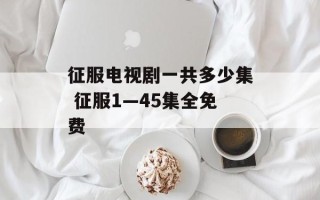 征服电视剧一共多少集 征服1—45集全免费