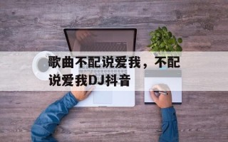 歌曲不配说爱我，不配说爱我DJ抖音