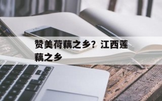 赞美荷藕之乡？江西莲藕之乡