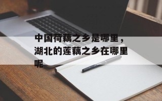 中国荷藕之乡是哪里，湖北的莲藕之乡在哪里呢