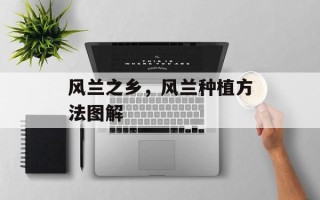 风兰之乡，风兰种植方法图解