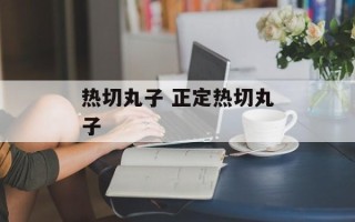 热切丸子 正定热切丸子
