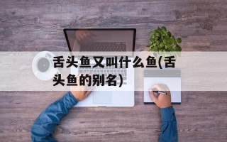 舌头鱼又叫什么鱼(舌头鱼的别名)
