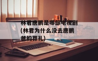 林君唐鹏是哪部电视剧(林君为什么没去唐鹏爸的葬礼)
