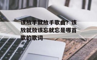 该放手就放手歌曲？该放就放该忘就忘是哪首歌的歌词