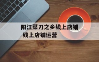 阳江菜刀之乡线上店铺 线上店铺运营