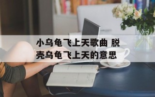 小乌龟飞上天歌曲 脱壳乌龟飞上天的意思