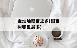 金灿灿银杏之乡(银杏树哪里最多)
