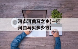 河南河曲马之乡(一匹河曲马买多少钱)
