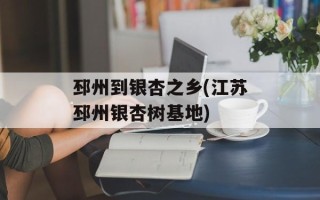 邳州到银杏之乡(江苏邳州银杏树基地)
