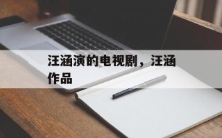 汪涵演的电视剧，汪涵作品