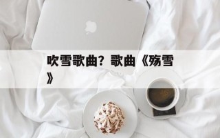 吹雪歌曲？歌曲《殇雪》