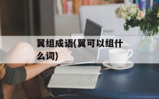 翼组成语(翼可以组什么词)