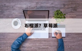石榴派？草莓派