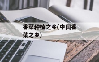 香菜种植之乡(中国香菜之乡)