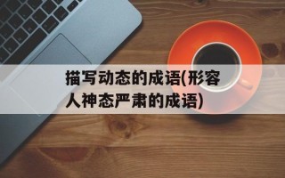 描写动态的成语(形容人神态严肃的成语)