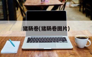 猪肠卷(猪肠卷图片)