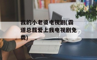 我的小老婆电视剧(霸道总裁爱上我电视剧免费)