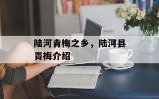 陆河青梅之乡，陆河县青梅介绍