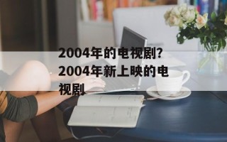 2004年的电视剧？2004年新上映的电视剧