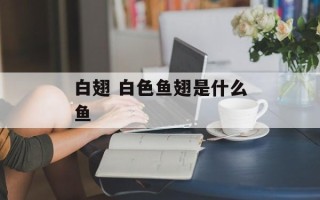 白翅 白色鱼翅是什么鱼