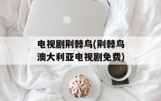 电视剧荆棘鸟(荆棘鸟澳大利亚电视剧免费)