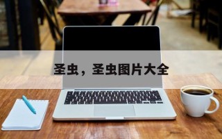 圣虫，圣虫图片大全