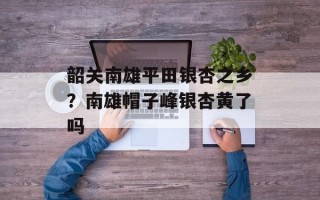 韶关南雄平田银杏之乡？南雄帽子峰银杏黄了吗