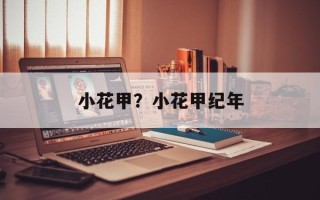 小花甲？小花甲纪年