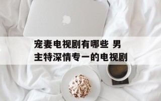 宠妻电视剧有哪些 男主特深情专一的电视剧